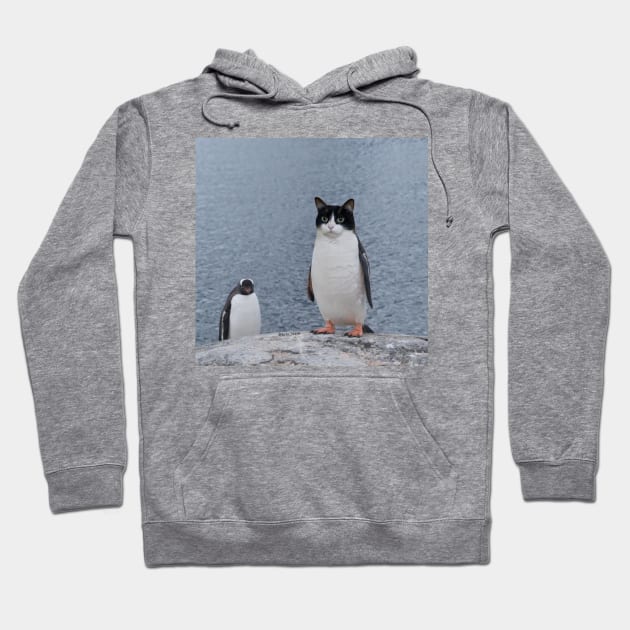 Cat Penguin Design Hoodie by GoldenHoopMarket